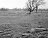 Hubbard Property, Farm Fields