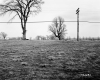 Hubbard Property, Farm Fields