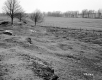 Hubbard Property, Farm Fields