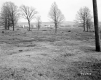 Hubbard Property, Farm Fields