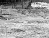 Brattleboro Retreat, Open Field