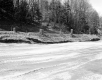 Tree Stumps along Road