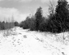 Hamlen Property, Field and Forest