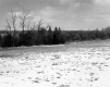 Hamlen Property, Field and Forest