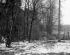 Bellerose Property, Forest View