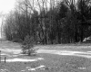 Bellerose Property, View toward Forest