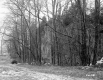 Bellerose Property, View toward Forest