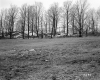 Wilder Property, Field and Forest
