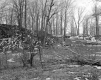 Wilder Property, Forest View