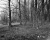 Bushey Property, Forest View