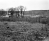 Bushey Farmstead