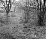 Baby Property, View toward Farmstead