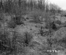 Baby Property, Rocky Field and Forest