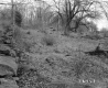 Baby Property, Stone Wall in Field