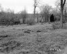 Baby Property, Barns and Rocky Field