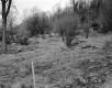 Baby Property, Rocky Hillside and Forest