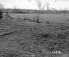 Casey Property, Farm Fields