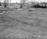 Casey Property, Farm Fields
