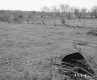 Casey Property, Farm Fields