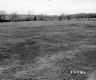 Casey Property, Farm Fields