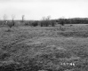 Casey Property, Farm Fields