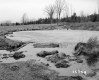Casey Property, Pond in Field