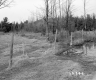 Casey Property, Farm Field and Forest