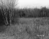 Duhamel Property, Field and Forest