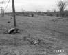 Duhamel Property, Power Lines through Field