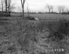 Duhamel Property, Fenced Farm Field