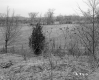 Duhamel Property, Fenced Field 