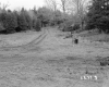 Howrigan Property, Field and Forest