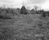 Howrigan Property, Field and Forest