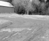 Howrigan Property, Barn and Forest