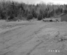 Howrigan Property, Barn and Forest
