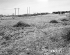 Decker Property, Power Lines through Field