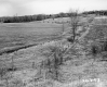 Decker Property, Fenced Farm Fields