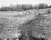 Decker Property, Stream through Field
