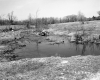 Decker Property, Pond in Field