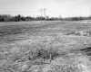 Decker Property, Power Lines through Field