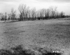 Casey Property, Field and Trees