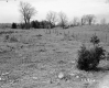 Casey Property, Fenced Fields