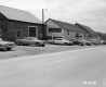 Casey Property, The Home of Good Jersey Cows