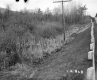 Bagley Property, View toward Railroad Tracks