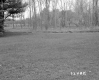 Seitz Property, Field and Trees