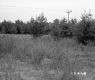 Squier Property, Field and Forest