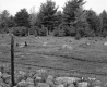 Adams Property, Fenced Field and Forest