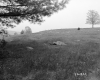 Wilder Property, Fenced Field on Hill