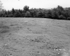 Wilder Property, Field and Forest