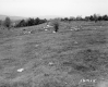 Squier Property, Rolling Farm Fields